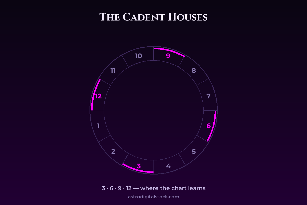 The Cadent Houses: Where the Chart Learns — diagram